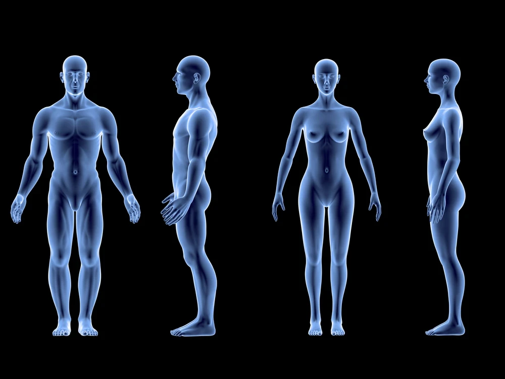 What is Fashion Technology In 2024